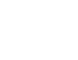 Security Icon